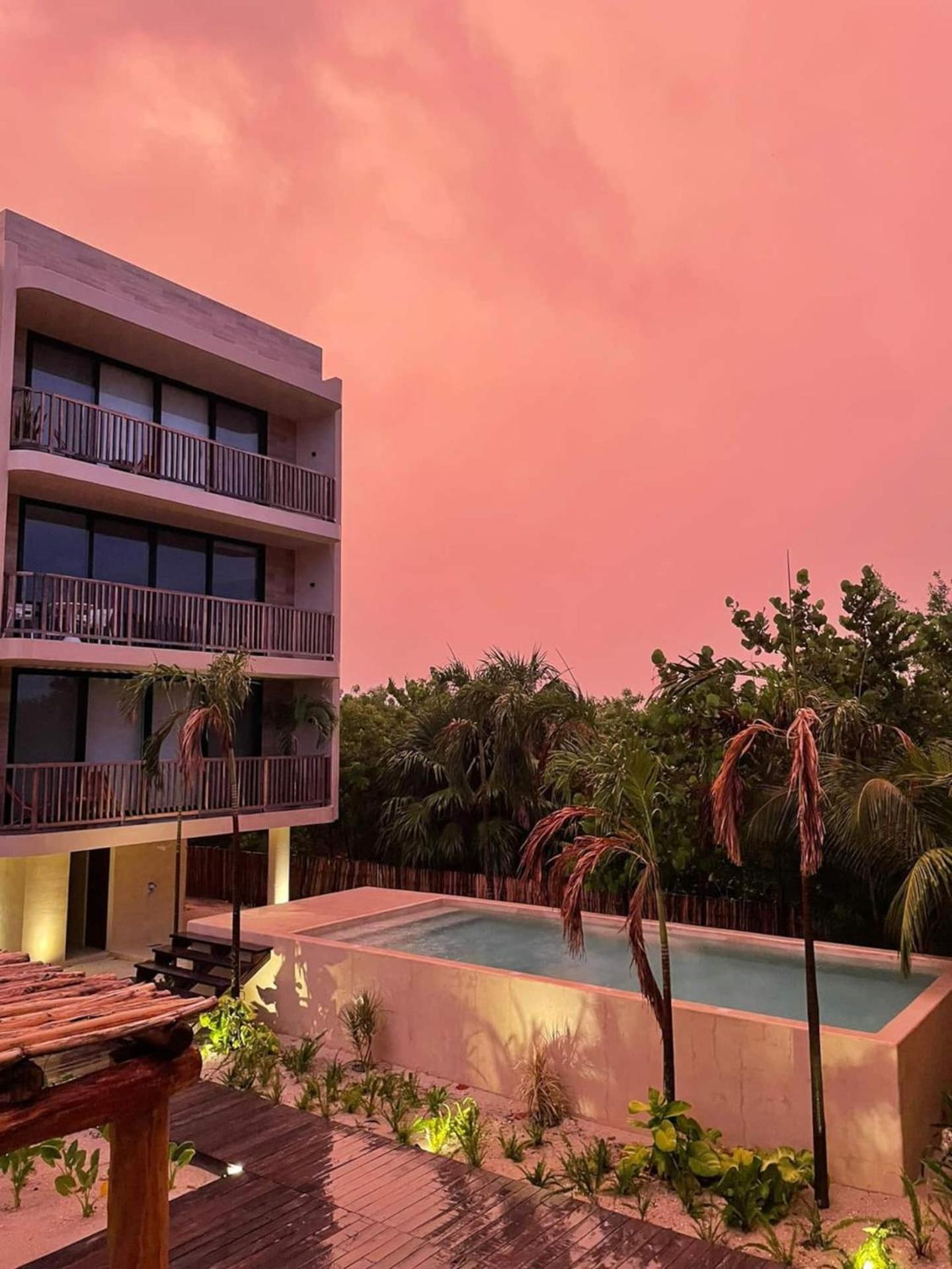 Isla Holbox Ocean View Loft In Punta Cocos - C102酒店 外观 照片